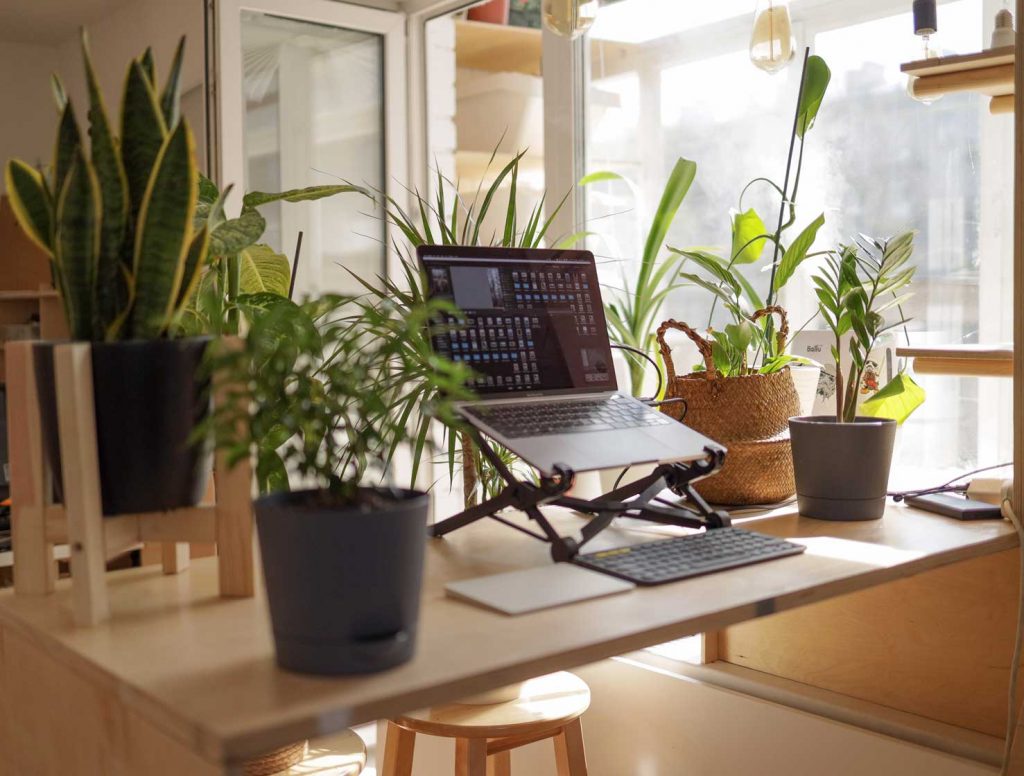 Remote working in Costa del Sol