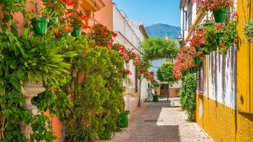 Excursiones de un Día desde Marbella: Estepona