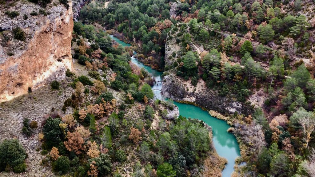 Excursiones de un Día desde Marbella: Sierra de las Nieves